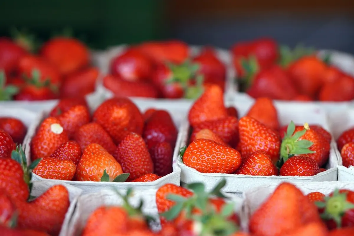 Seasonal Wedding Dessert Ideas for Every Month of the Year